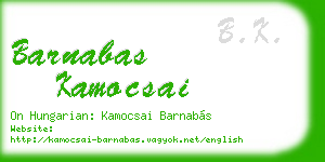 barnabas kamocsai business card
